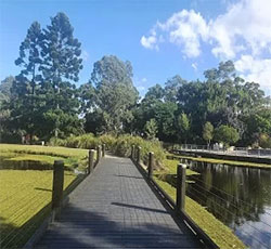 Gold-Coast-Regional-Botanic-Gardens-Benowa